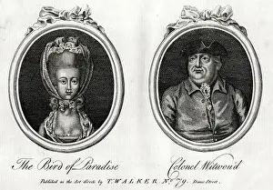 1781: The Bird of Paradise and Colonel Witwou'd