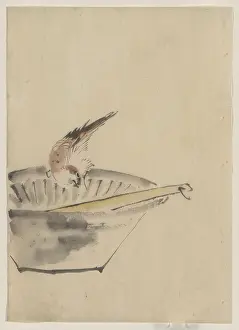 Cocked: A bird perched on the edge of a bowl, with head cocked, look