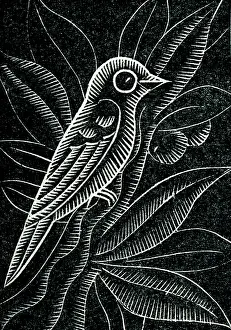 Perches: A bird perches on a branch