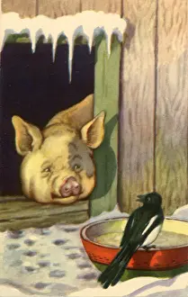 Pokes: Bird and Pig in Winter