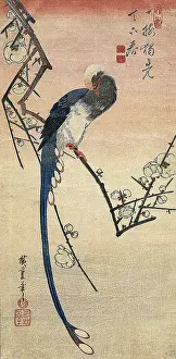 Plum: Bird with Plum Blossoms, by Hiroshige