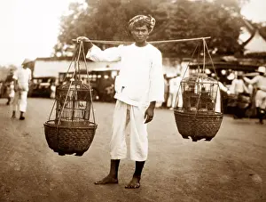 Javanese: Bird seller, Java