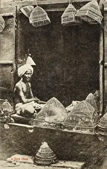 Streetside: Bird Shop at Ambala, India