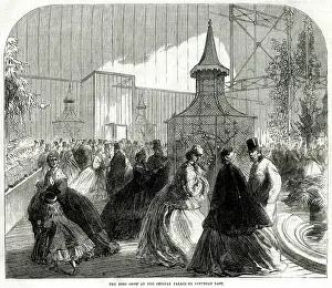 Cages: Bird show, Crystal Palace 1865