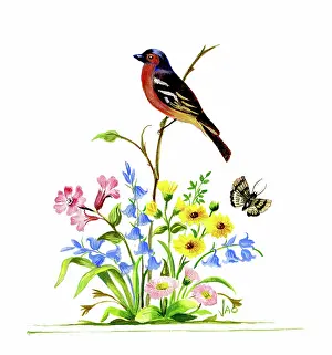 Ockenden: Bird on a stem among wild flowers