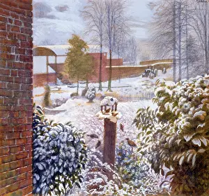 Bliss: Bird Table in Snow at Windley, 1975