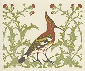 Bird in thistles