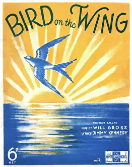 Aug17: Bird on the Wing - Music Sheet Cover
