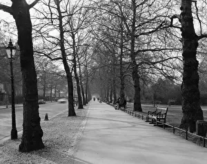 Birdcage: BIRDCAGE WALK