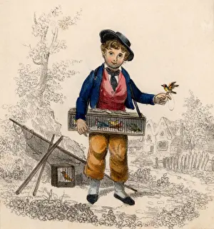 Cages: Birdcatcher with small songbirds