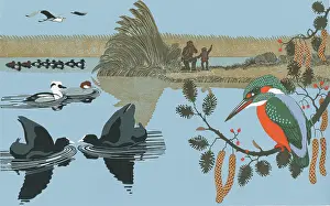 Kingfisher: This Birding Life artwork