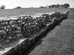 Birdoswald: BIRDOSWALD FORT