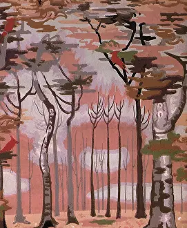 Ephraim: Birds and Beech Trees
