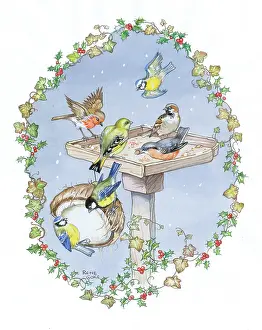 Cloke: Birds on bird table in snow