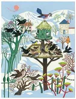Birds on a bird table in the snow