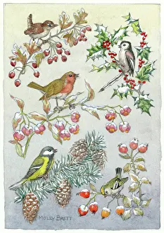 Medici Society (molly Brett): Five birds, on five branches ' holly, fir etc