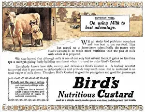 Nutritional: Bird's custard advertisement, WW1