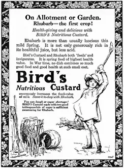 Rationed: Bird's Custard advertisement, WW1