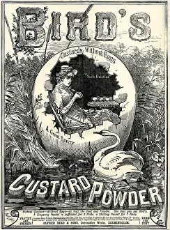 Custard: Bird's Custard Powder advert