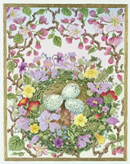 Nots: Birds Eggs with apple blossom, primulas etc