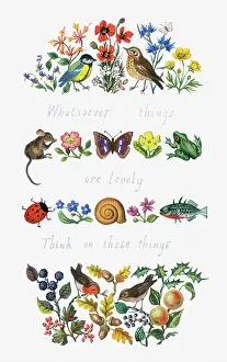 Quotation: Birds, flowers, foliage etc