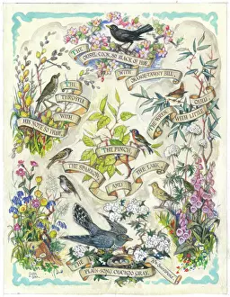 Saul: Birds and flowers with words from Shakespeare