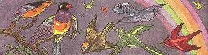 Writings: Birds Fly Under Rainbow