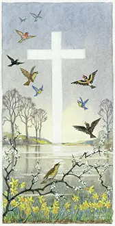 Thrushes: Birds flying over a lake ' and cross in the sky