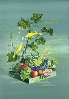Plums: Two birds with fruit and flowers