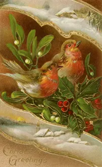 Sprigs: Two Birds, Holly