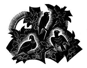 Illustrating: Three birds on holly tree