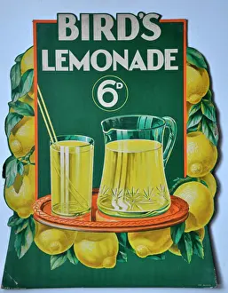 Lemonade: Bird's Lemonade