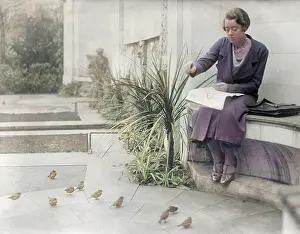 Crumbs: BIRDS LUNCHTIME