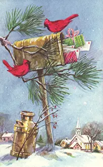 Stuffed: Birds on MailboX