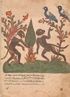 Kalila: The Birds and the Monkeys with the Glow Worm