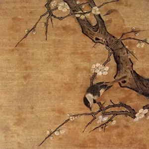 Plum: Birds in Plum Tree