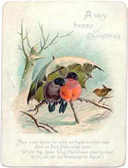 Huddling: Birds sheltering under umbrella on a Christmas card