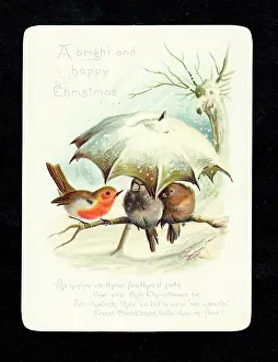 Huddling: Birds sheltering under umbrella on a Christmas card