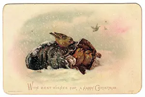 Chirping: Birds in a shoe on a Christmas card