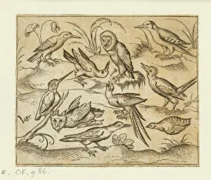 The Ashmolean Museum: Ten birds sitting on branches and patches of grass