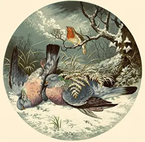 Lydon: Birds in the Snow