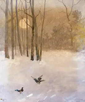 Snowfield: Birds in a Snowfield