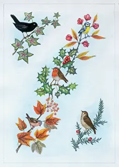 Sprays: Birds on Sprays of Winter Foliage