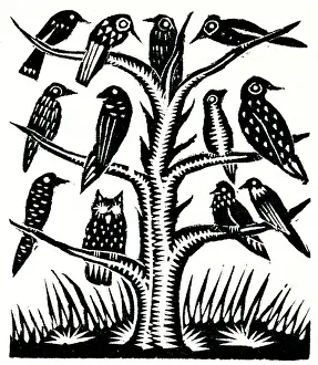 Perch: Birds on a tree