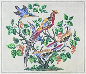 Afterwards: Five Birds in a Tree – woolwork design