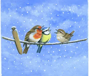 Comerford: Birds on washing line in snow