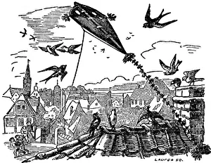 Astonishment: Birds watching a kite fly