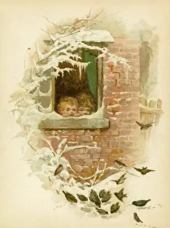 Birdwatching: Birdwatching
