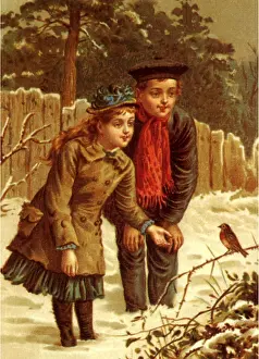 Twig: Birdwatching Children