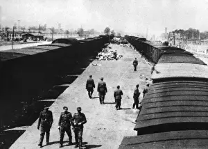 Birkenau: Birkenau Railway Station